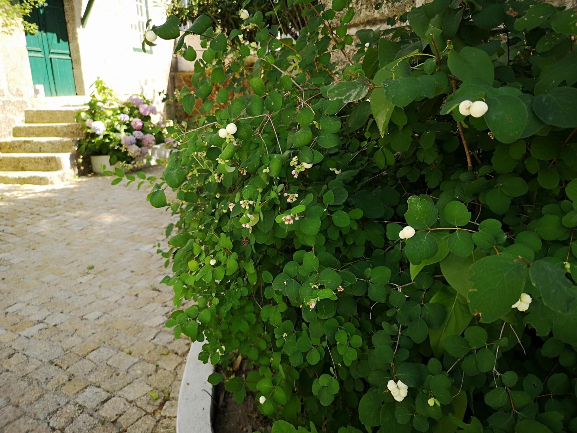 Villa Refúgio de Calheiros Covilhã Exterior foto