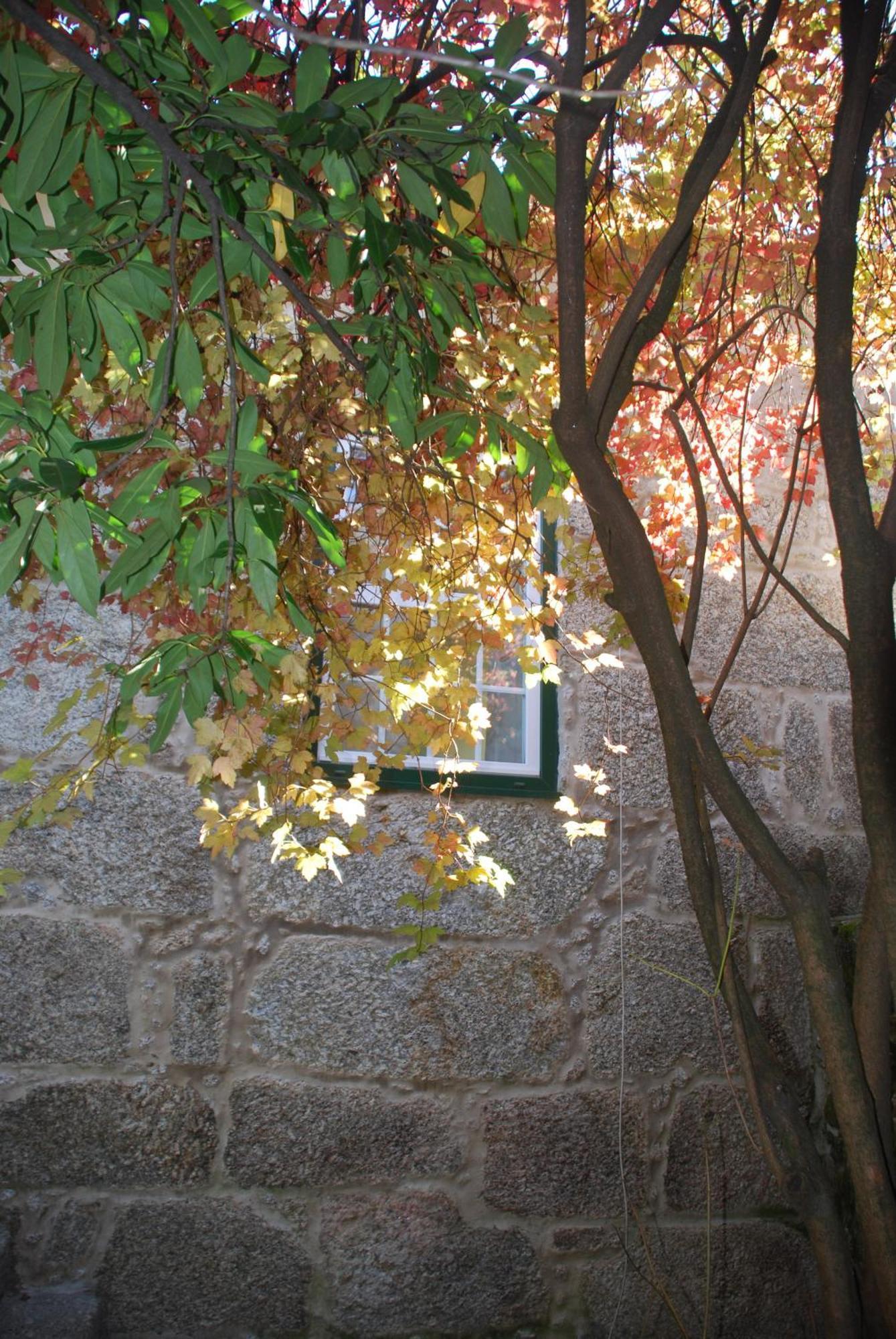 Villa Refúgio de Calheiros Covilhã Exterior foto